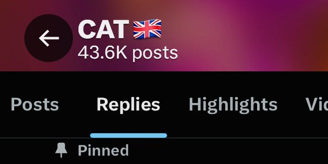 CAT 🌸 ᥫ᭡ tweet media