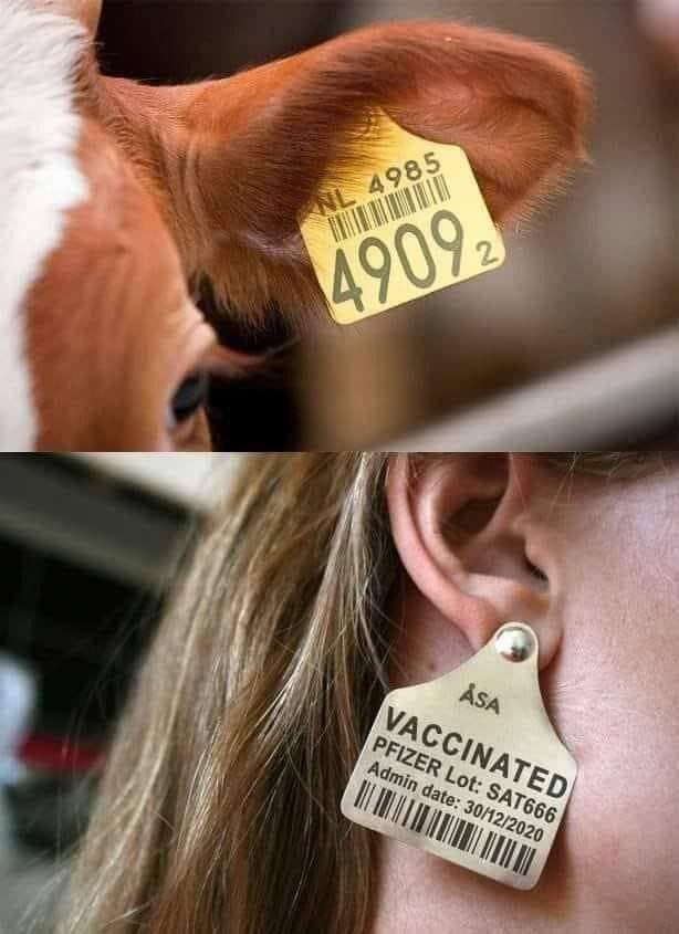 schmidt1024's tweet image. Your overlords demand the digital ID (#eID) to monitor your vaccination status effectively
