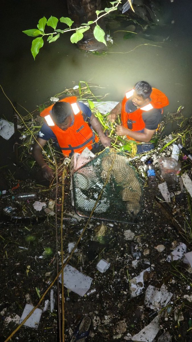 Animal Warriors Conservation Society tweet media