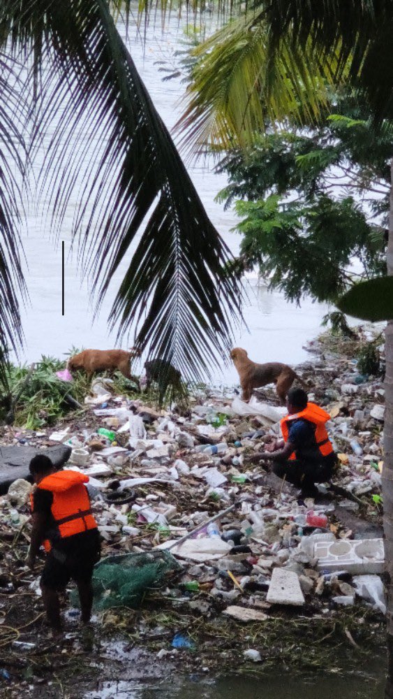 Animal Warriors Conservation Society tweet media