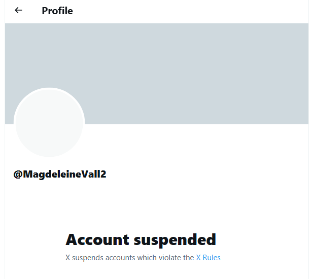 Sonja Neteu tweet media