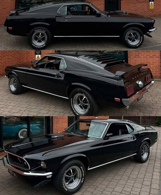 Sofia50020Sofia's tweet image. &apos;69 Mustang Mach 1

Will anyone like her?
