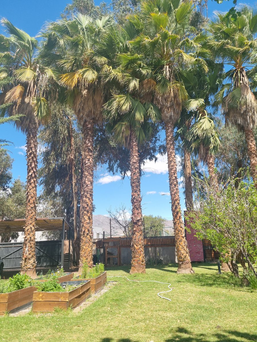 Nos vinimos de finde con el marido a comprar una finca con plata de mi cuñada 😂