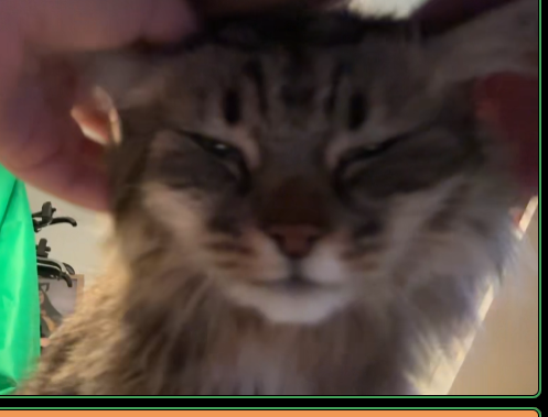 Find me a women who makes me purr and drool