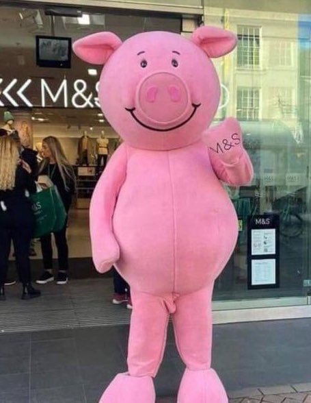 𝗣𝗲𝗿𝗿𝗶 tweet media