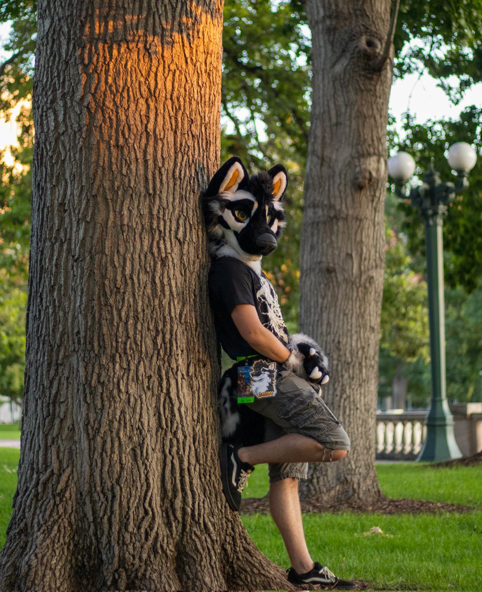 "Don't bark up the wron-"

Me and the tree: