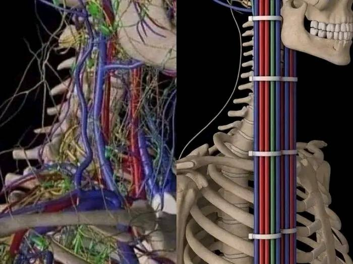 Keset Biru (Ø,G) tweet media