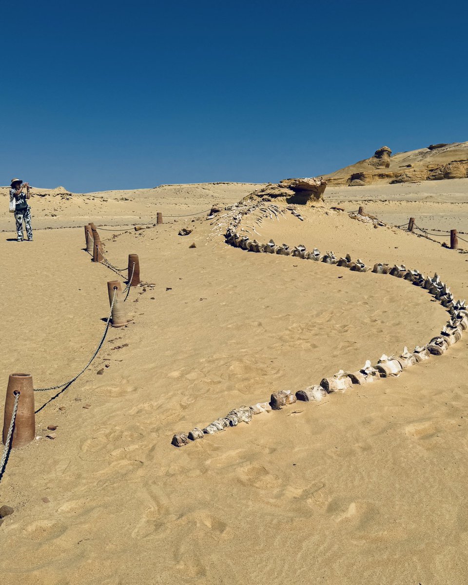 milton colonetti (@colonetti) / X