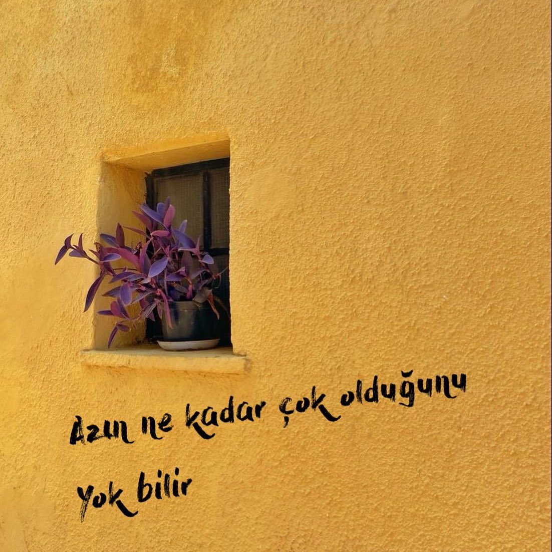 Azın ne kadar çok olduğunu yok bilir.