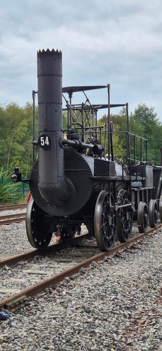 Vicky the labrat tweet media