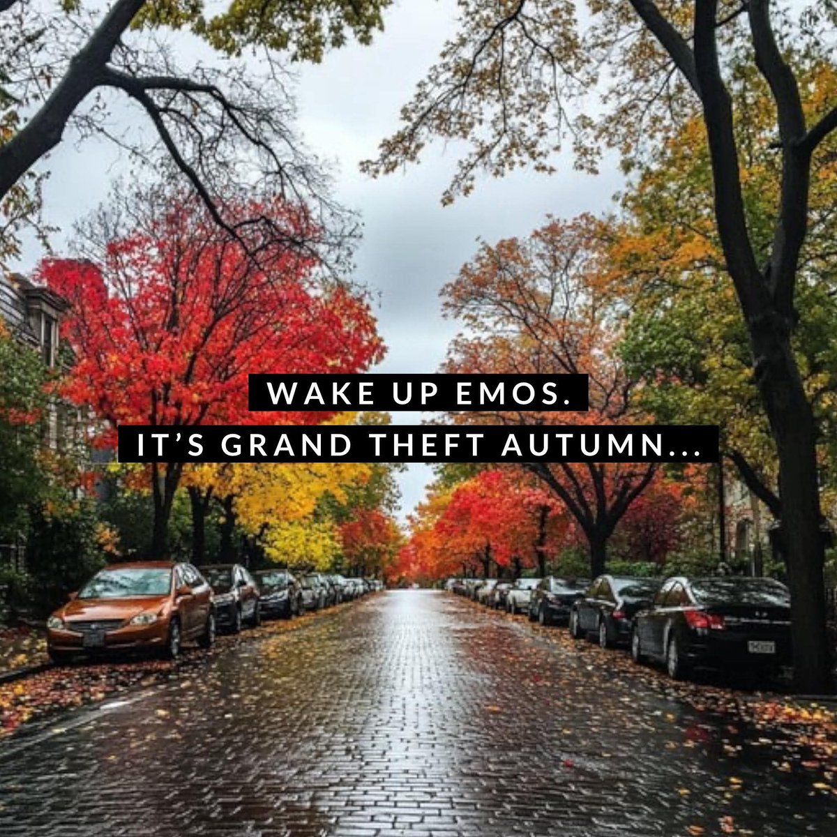 <a href="/falloutboy/">Fall Out Boy</a> 
💛❤️🤍💚🤍❤️💛❤️🤍💚🤍❤️💛