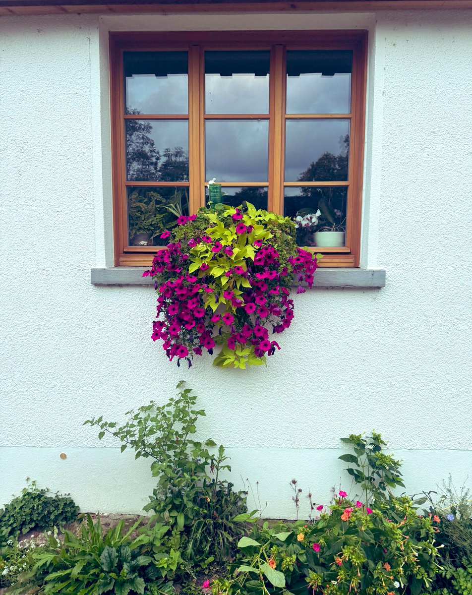 للنوافذ الأنيقة سحرٌ لا أستطيع مقاومته، فيستفزّني لألتقط لها الصور