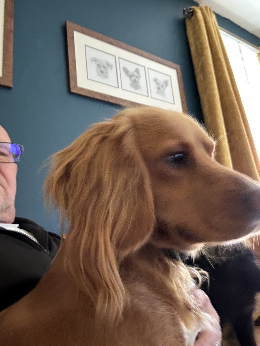Harry 🇬🇧 tweet media