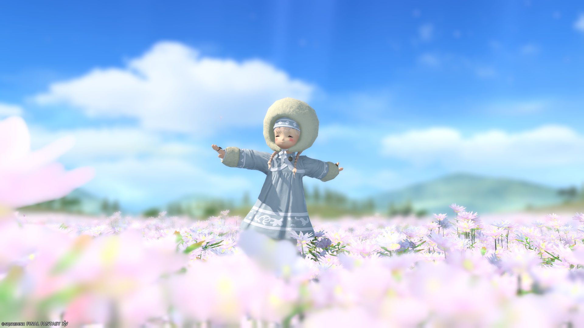 花まる 51IFd1+MzKL._UF350,350_QL50_.jpg