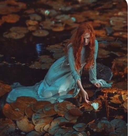 ...salıncakdaki sevinç gibisin,
kah bakıyorum yüreğim ağzımda
kah bakıyorum her şey olduğu gibi...

bazı anların tarifi olmuyor...

geceye❤️🕊