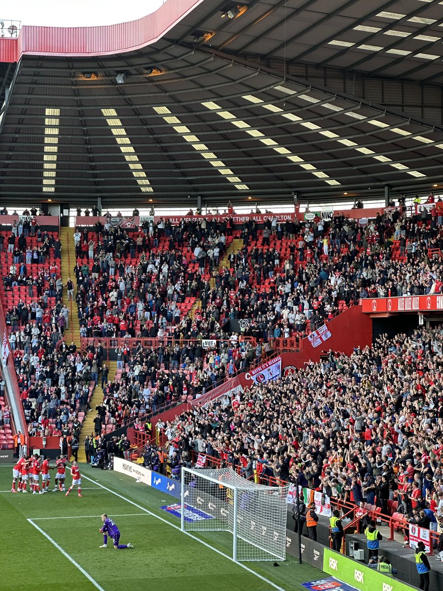 Tash Everitt tweet media