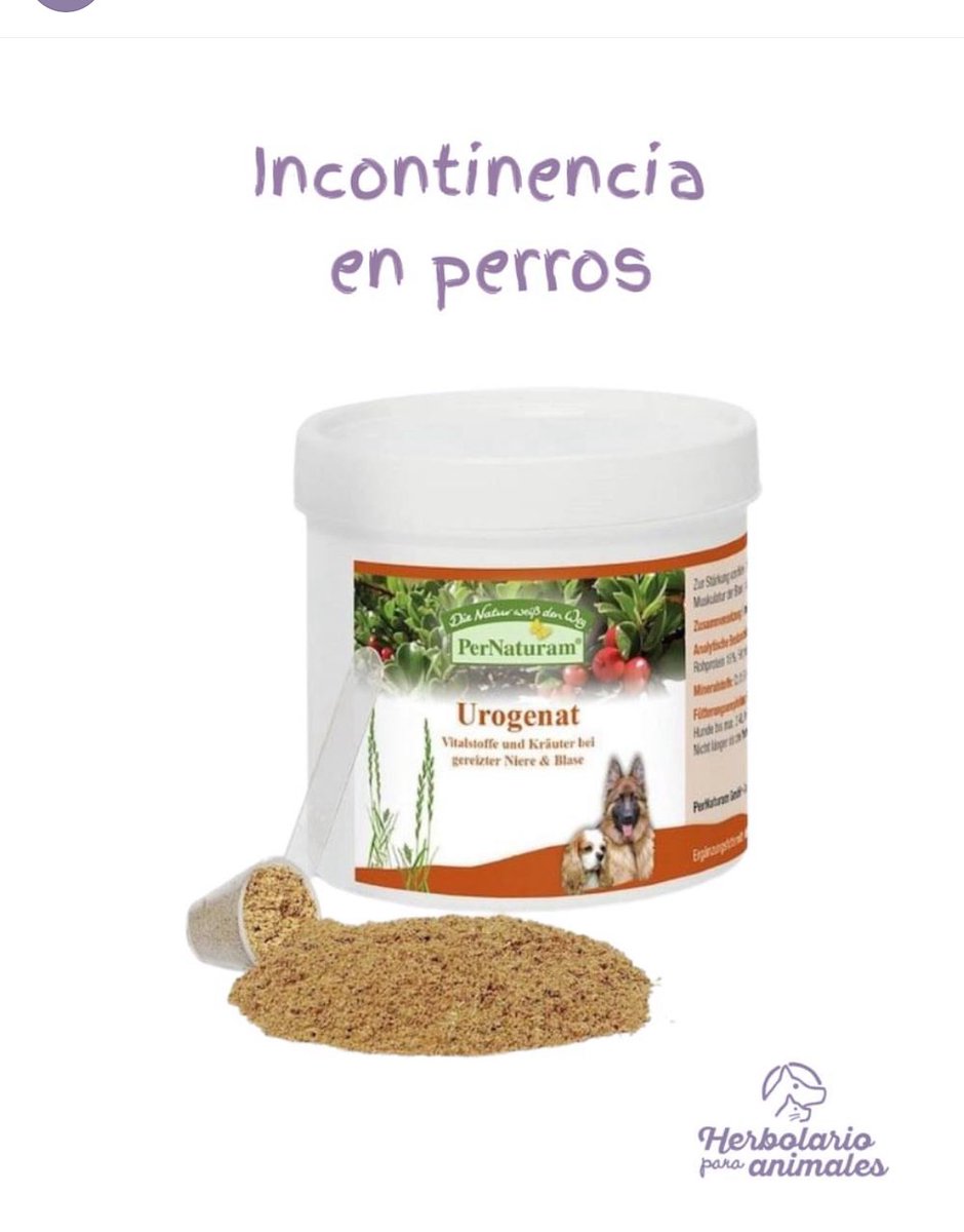 La fitoterapia también puede ayudar a los perros que sufren incontinencia urinaria 🍀🐶

herbolariosoldeinvierno.es/tienda/inconti…