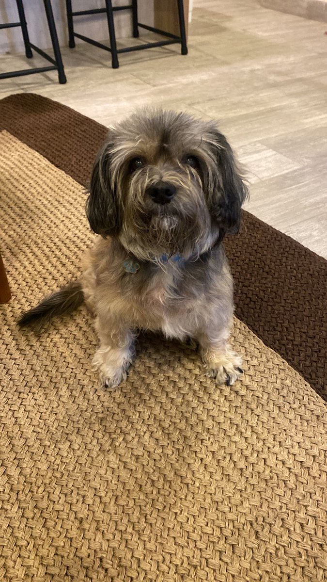 Hoy murió Juana uno de mis grandes amores, solo quiero decirle que gracias por ayudarme tanto y que la amé tanto como ella me amo