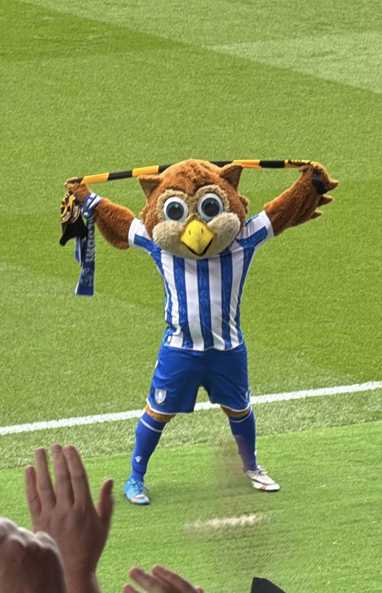 Maplo16's tweet photo. Up the owls! 🖤💛🖤 #Blackandgolduntilitssold #notapennymore #tillthewheelsfalloff #Chexit #SWFC https://t.co/DYCKuJcRWw