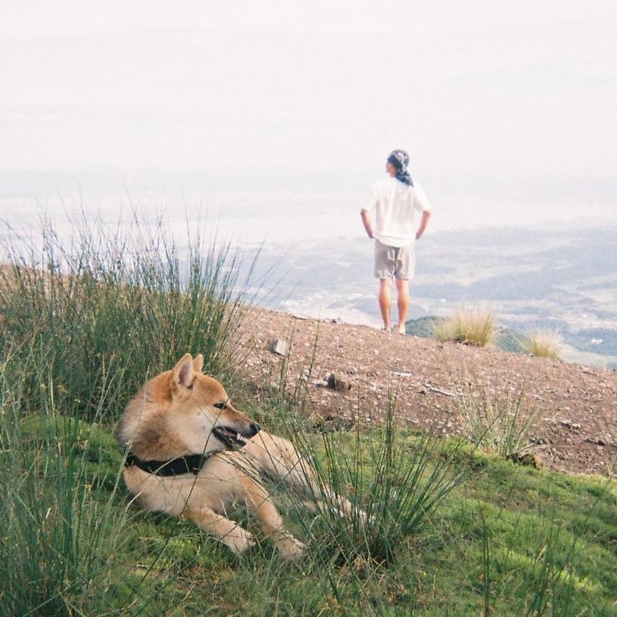 Kantaro San tweet media