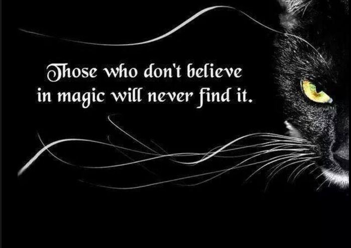 Always Look For the Magic...
SultonnaNadine.com
#fantasy #romance #magic