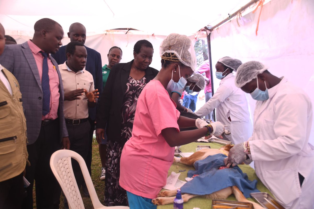 MAAIF_Uganda's tweet photo. World Rabies Day: The Ministry of Agriculture, Animal Industry and Fisheries and partners have concluded activities for the commemoration of #WorldRabiesDay2025 with a climax event in Wakiso, presided over by @CahMaaif who represented Hon. @DrRwamiramaBK. https://t.co/IaPUPNSL2V