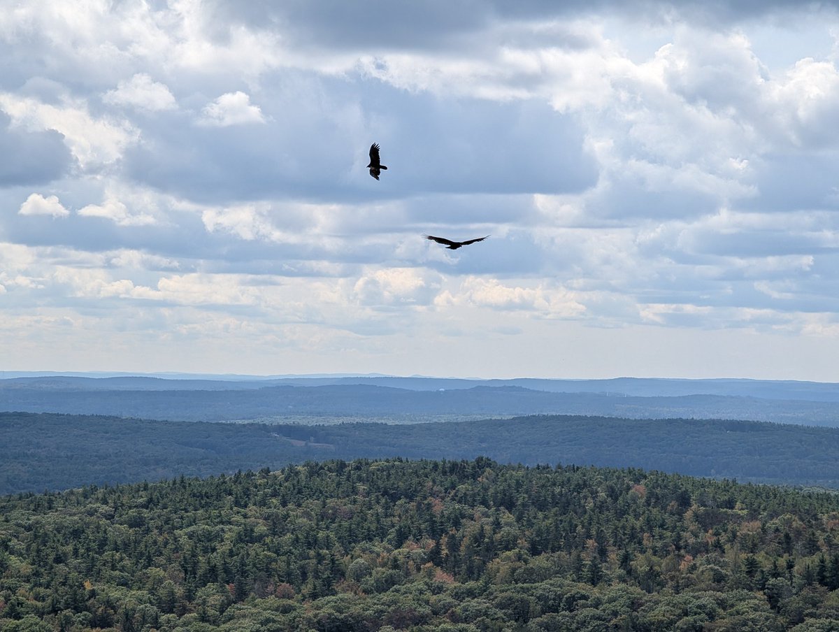 Waltham Friends of Scouting Inc tweet media
