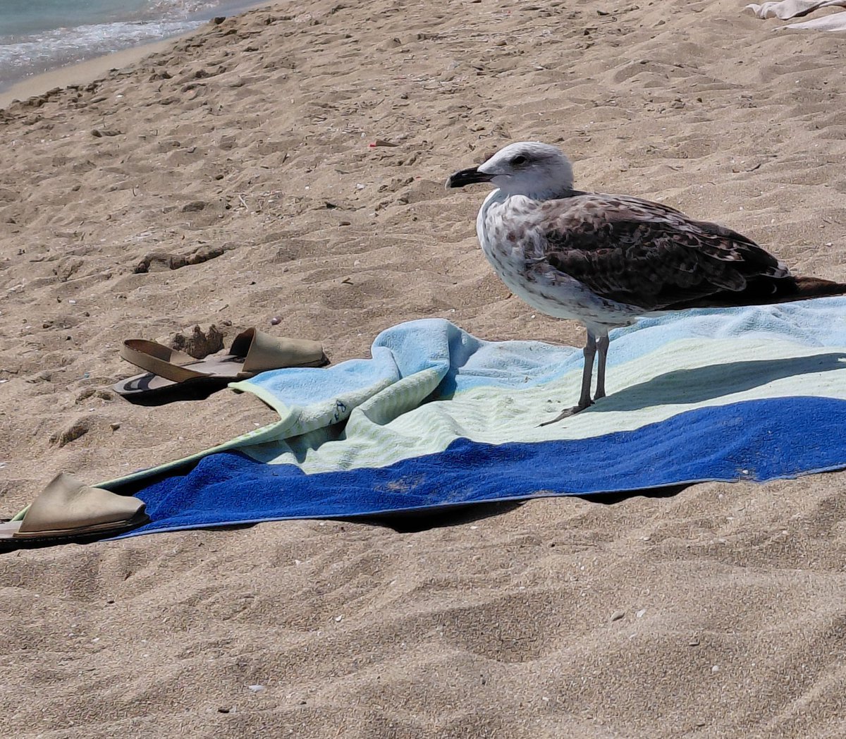 ... y un rato al aire libre