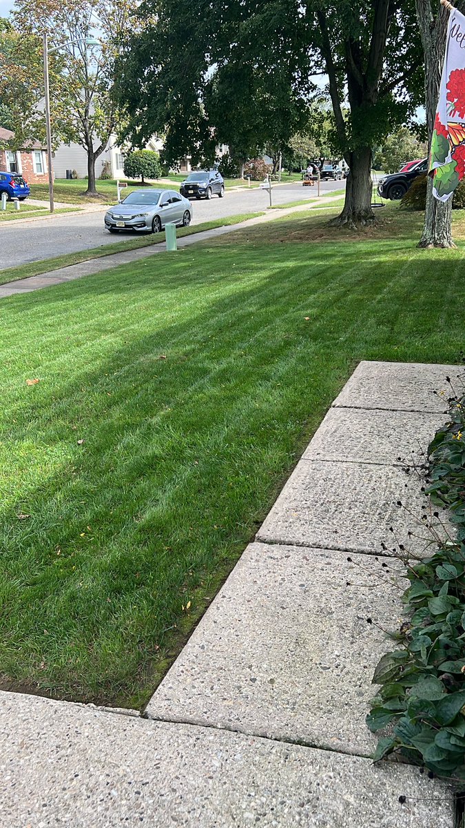 JW_edsolutions's tweet photo. This time last year my front years was burnt up and eaten by bugs. A lot of time and money was spent getting it back in shape this summer. I’m pretty happy with it overall! #Teachersof𝕏 #yardwork #hardwork #greengrass #dudelife @kumabair44 😘 https://t.co/5EPZIeK2po
