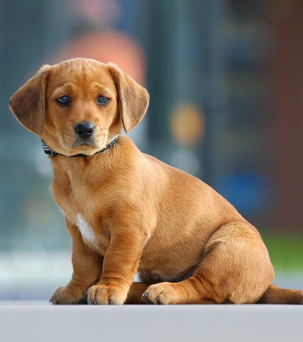 IamSixtus. tweet media