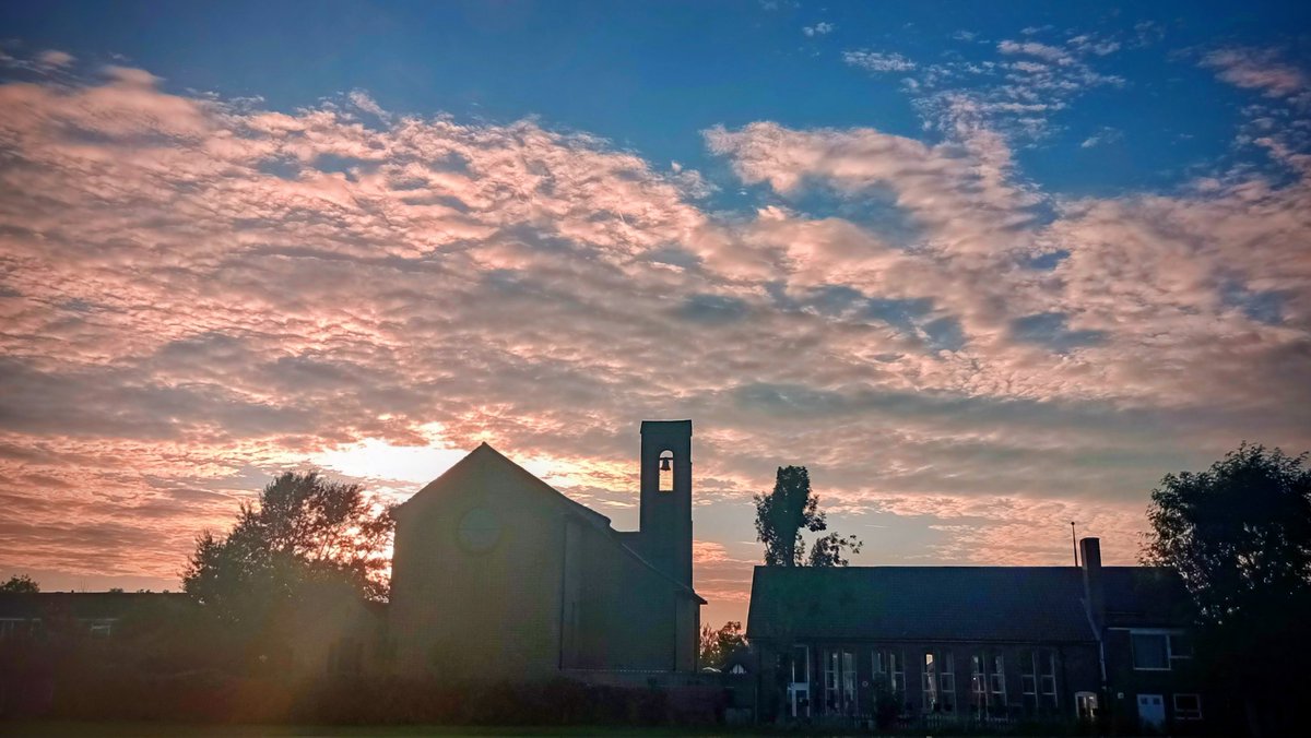 This evening's walk...🐾