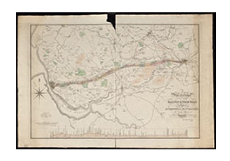 The Signet Library tweet media