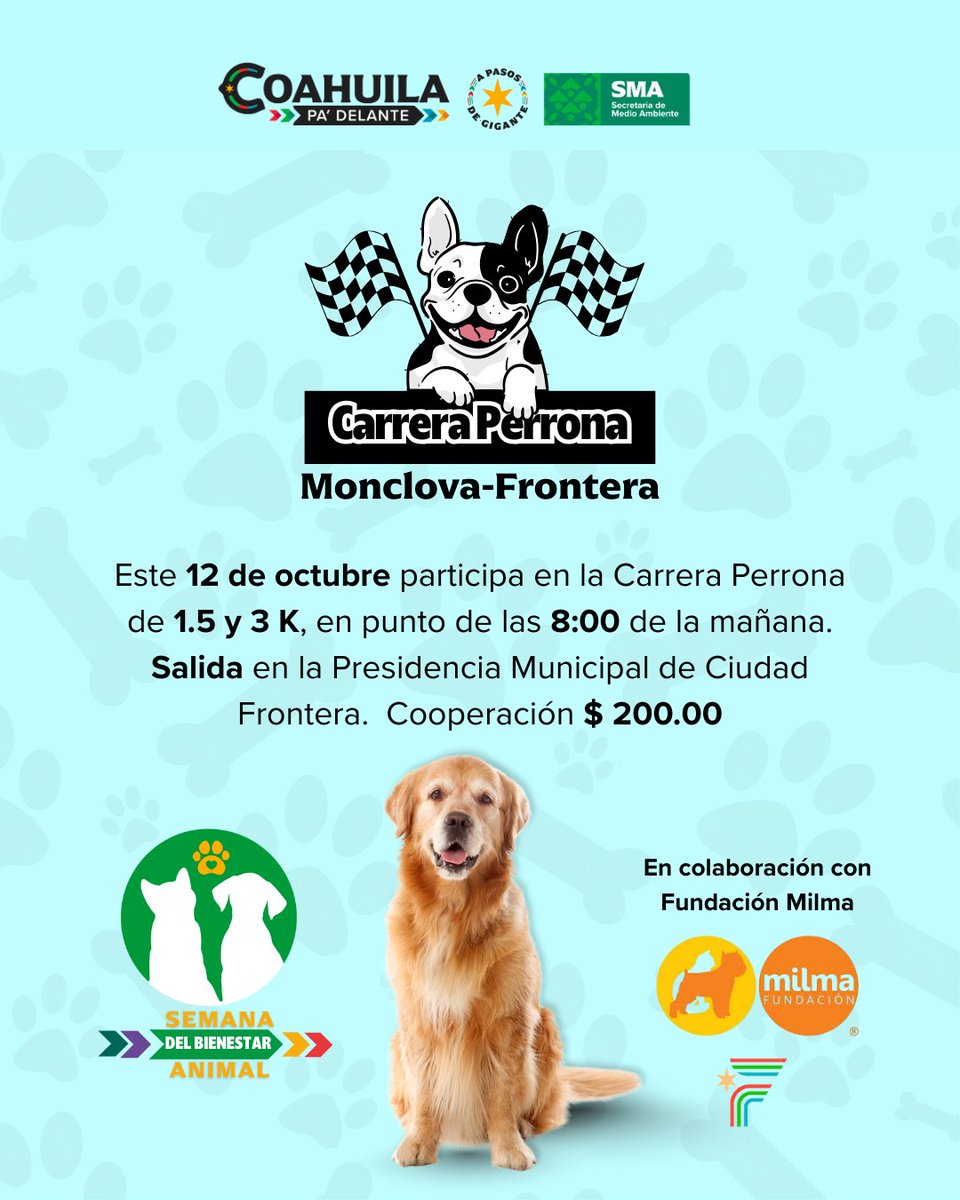 SMA Coahuila tweet media