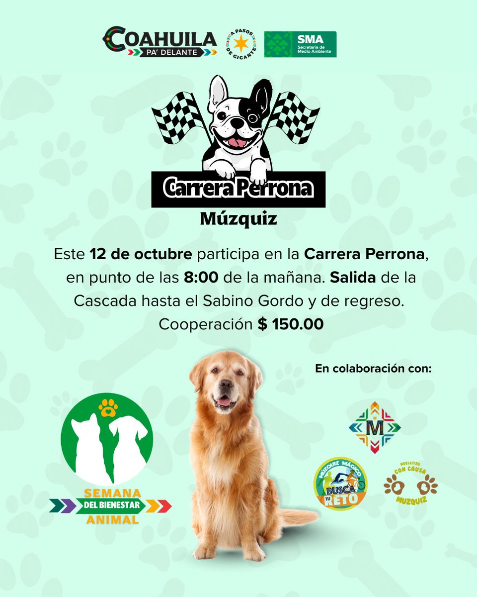 Este 12 de octubre participa en la Carreras Perronas que se llevarán a cabo en #Frontera #Saltillo #múzquiz. 

No olvides traer tu lomito con correa, agua para hidratarse y toda la actitud para compartir un día inolvidable.

¡Corre, trota o camina!
#CoahuilaPaDelante