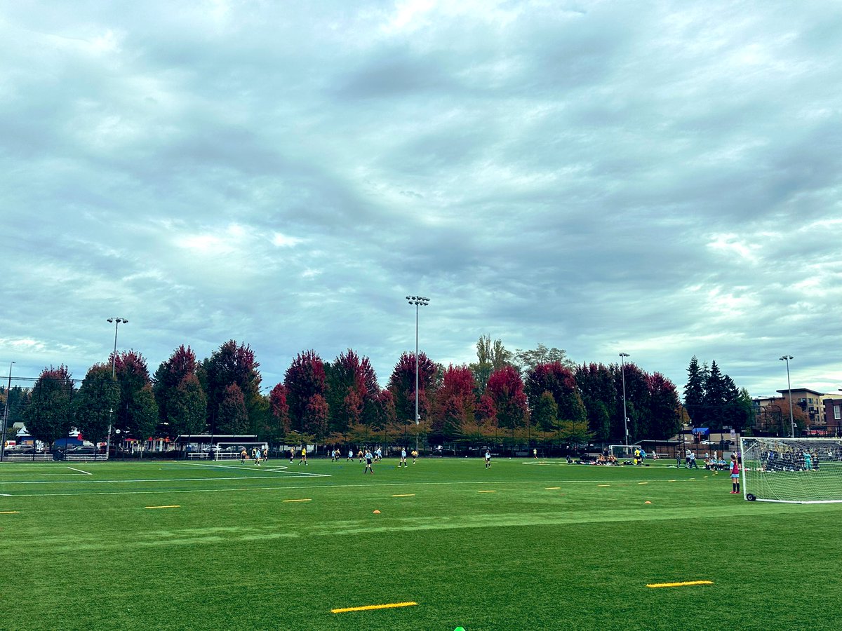 basharatw's tweet image. Looking for the first win of the season! ⚽️ 🥅 🇺🇸