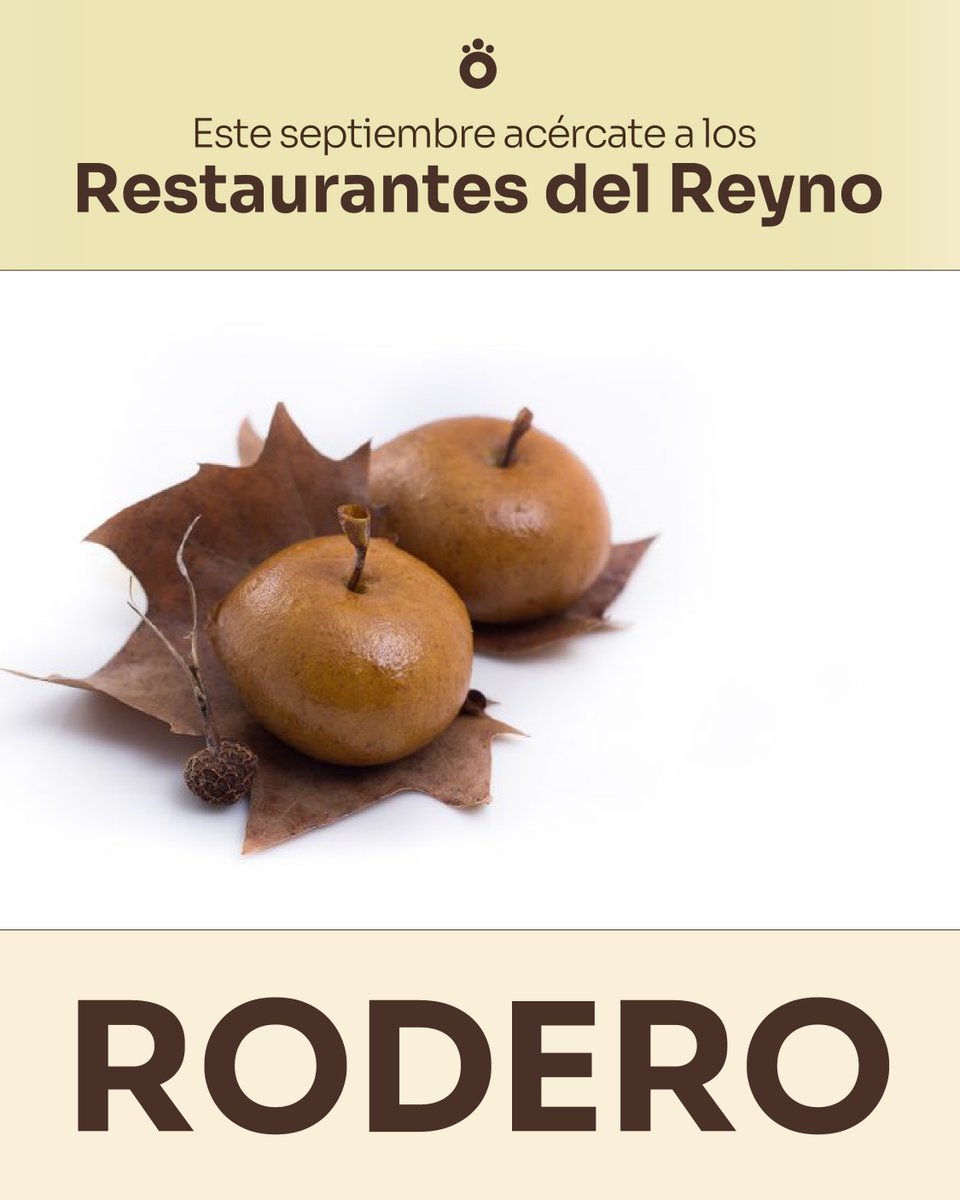 Menús de temporada elaborados con los mejores productos en los Restaurantes del Reyno.
Déjate sorprender por la propuesta de <a href="/KoldoRodero/">Koldo Rodero</a>  
📌 Restaurante Rodero.Emilio Arrieta, 3, Pamplona
☎️948 22 80 35
💪 Con el patrocinio de <a href="/VisitPamplona/">Pamplona - Iruña Turismo</a>  y <a href="/VisitNavarra/">Visit Navarra</a>