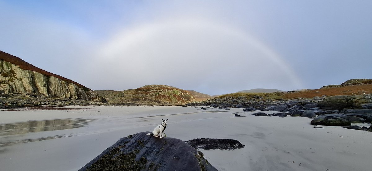 Frank & Polly tweet media