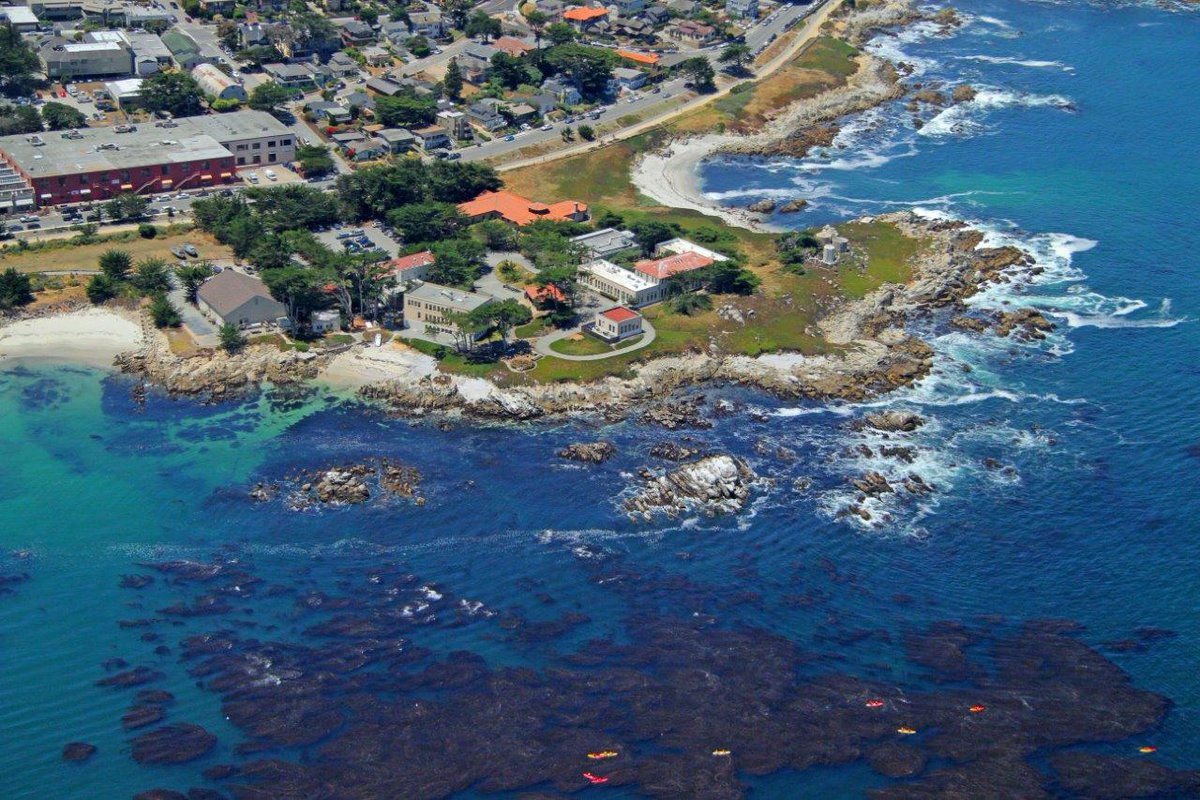 lighthawk_org's tweet image. Our coastlines face growing challenges—from erosion and flooding to habitat loss and development pressures.

LightHawk partners with conservation groups to monitor these fragile ecosystems from the air—giving them the tools to defend coastal habitats.

#FlyingForGood