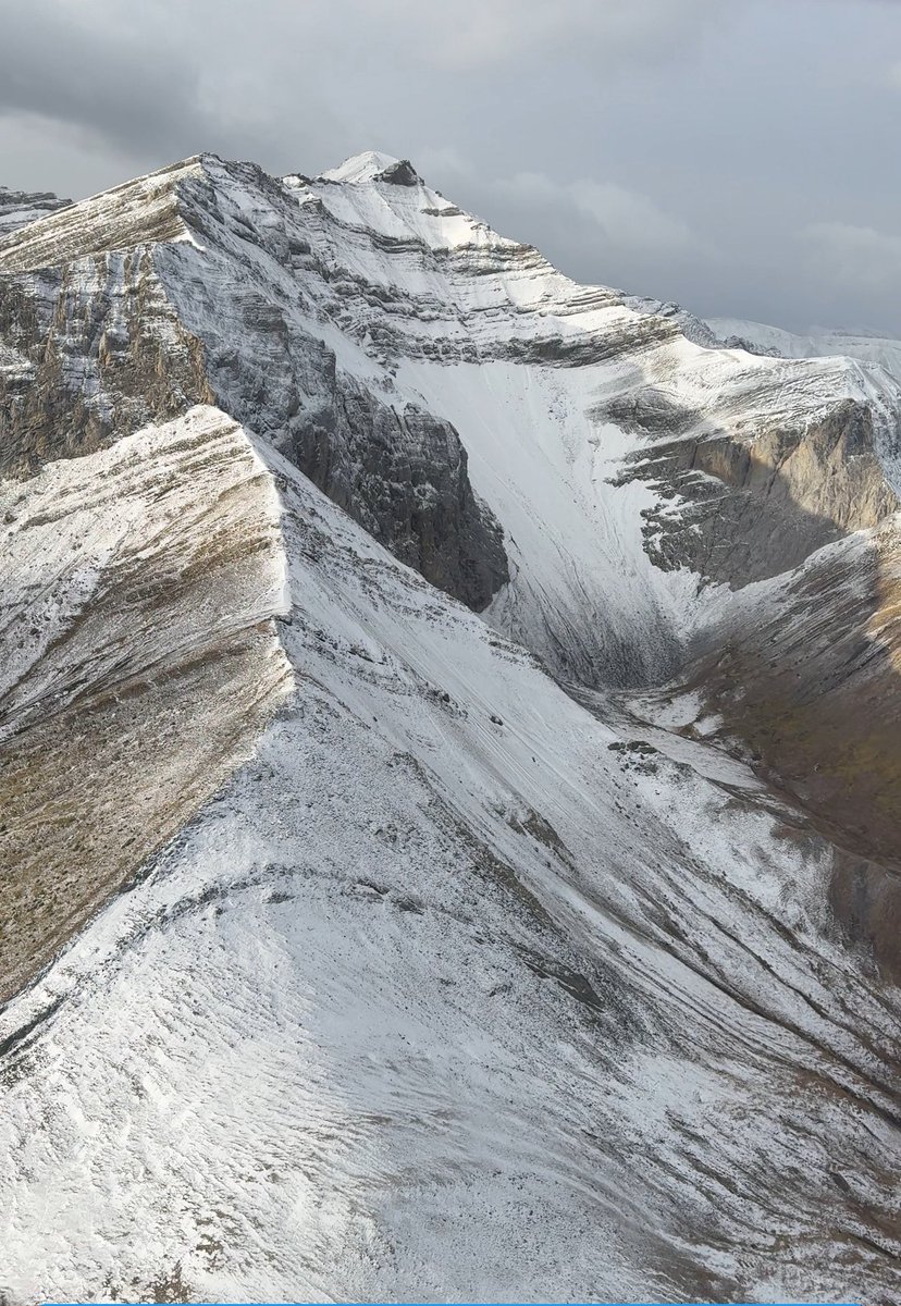 Sara Boychuk 🏔❄️ tweet media
