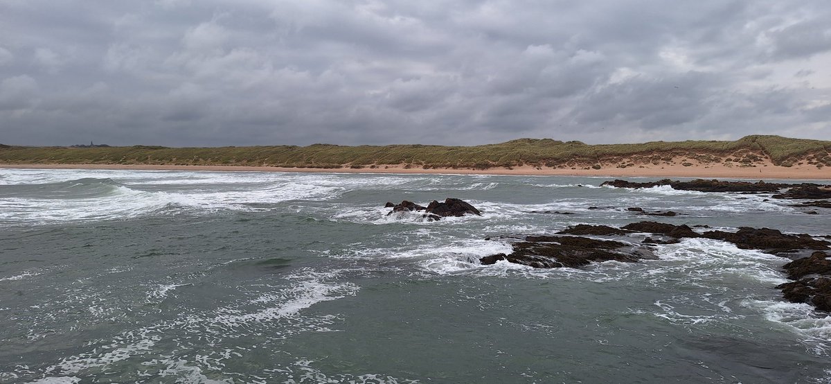 A bit breezy and quite a swell at Cruden Bay today.