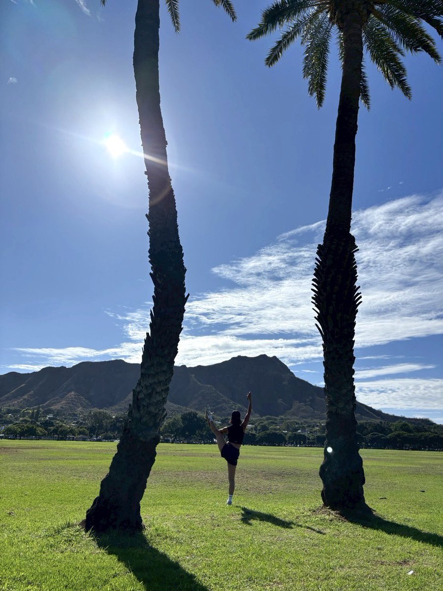 TJ🧘‍♀️ tweet media