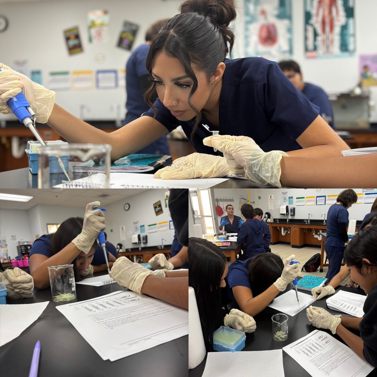 aluna0707's tweet image. Finished the 1st Quarter of the school year with GT Q-BEC Champions 🏅 ELISA lab testing 🧪 🧫 🥼 and an eventful fire drill that included the use of our first aid bag⛑️ (nose bleed) #drlunasclass #SEHStheBest #FirstAidSkills #PLTWclassroom #GTchamps #IAmTired 😜
