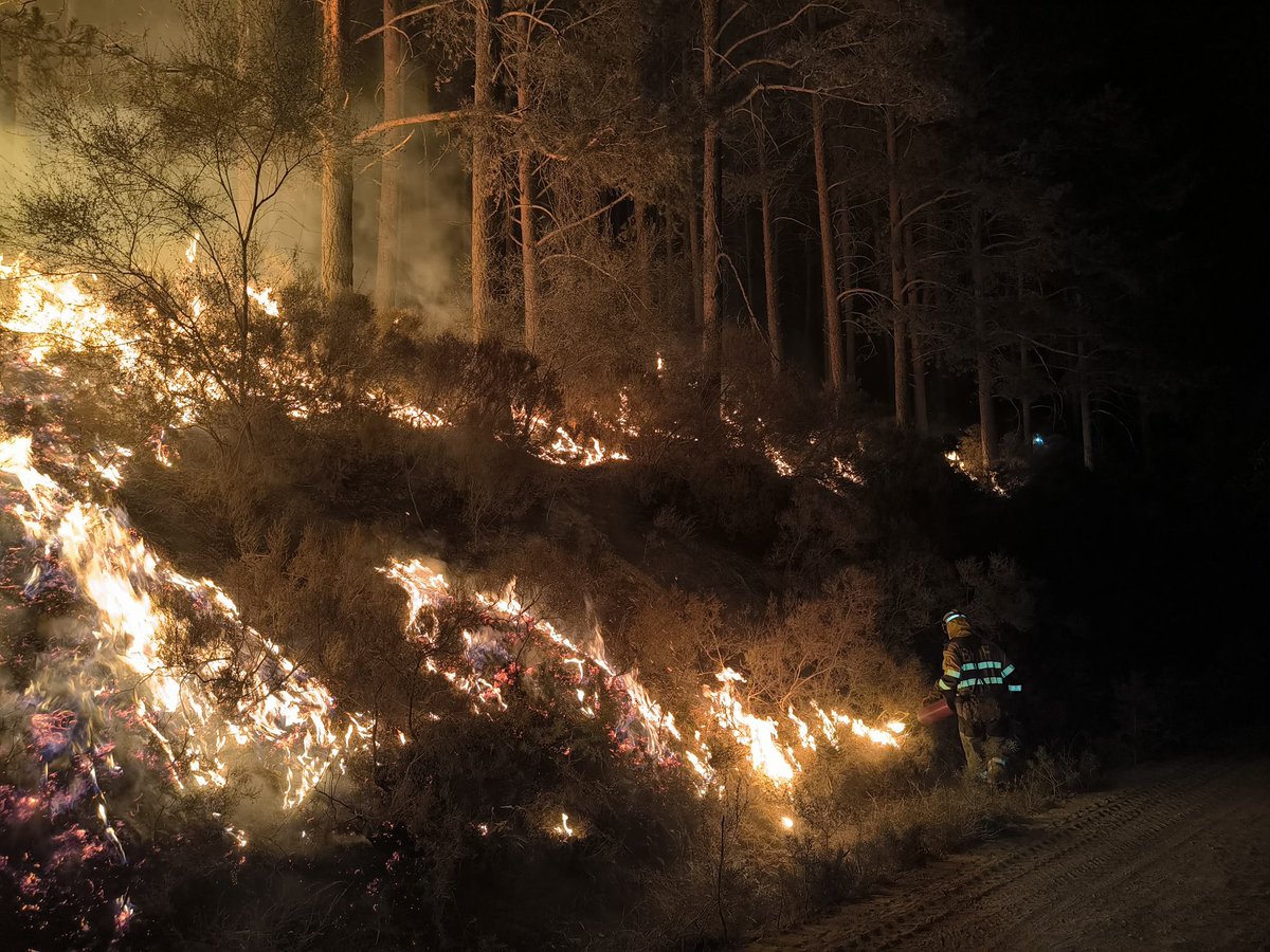 BRIF-A LUBIA tweet media