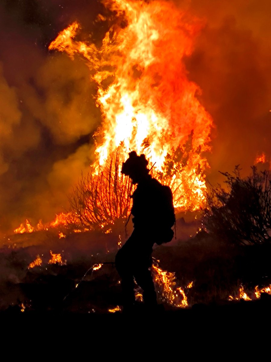 BRIF-A LUBIA tweet media