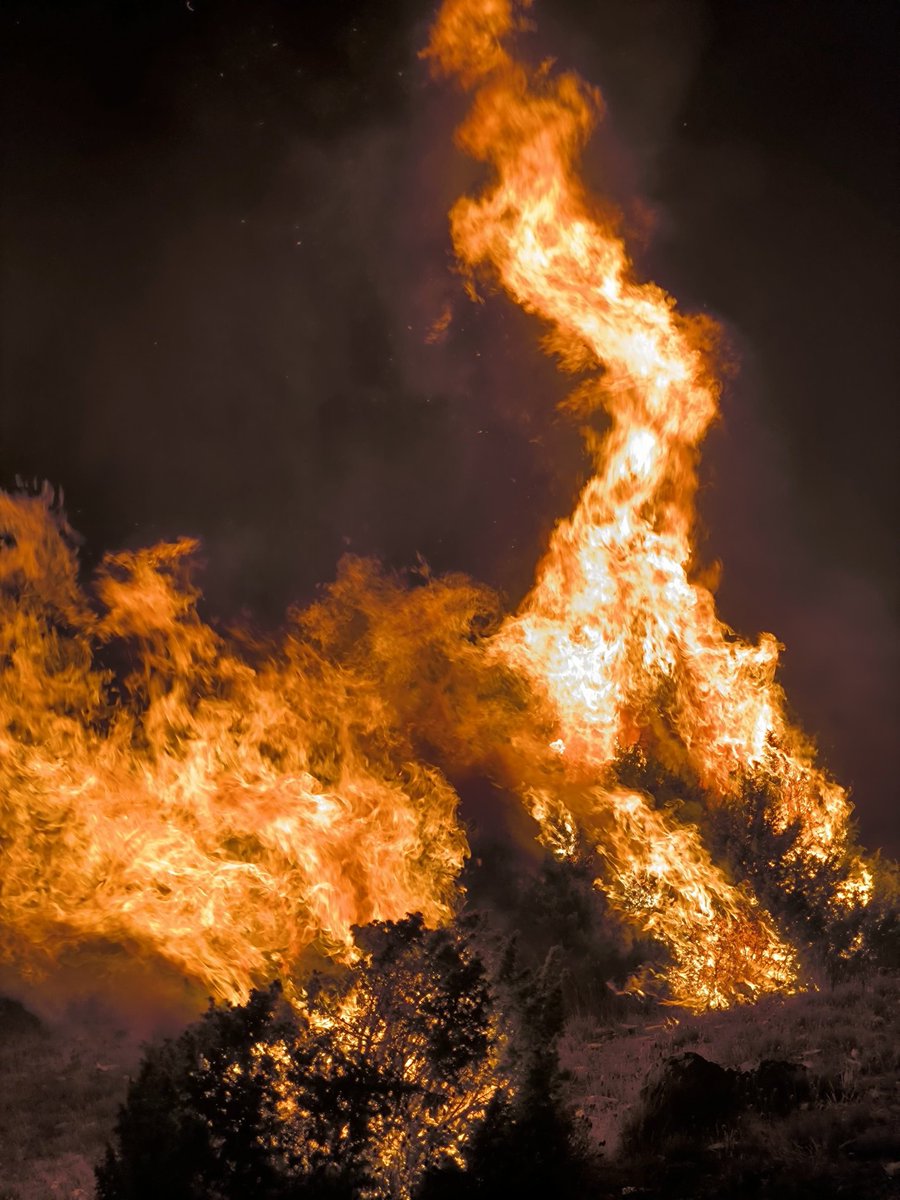 BRIF-A LUBIA tweet media