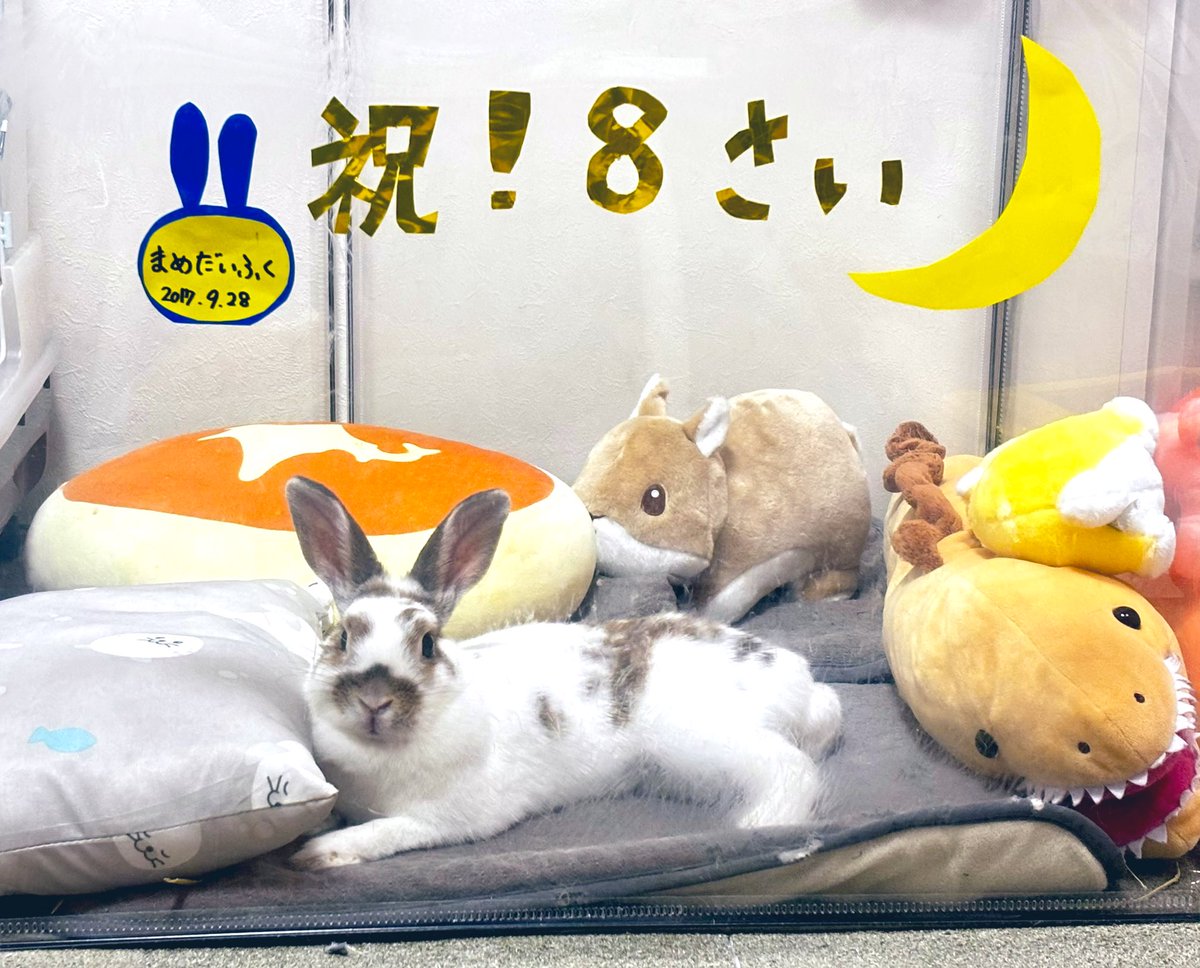 姫りんご tweet media