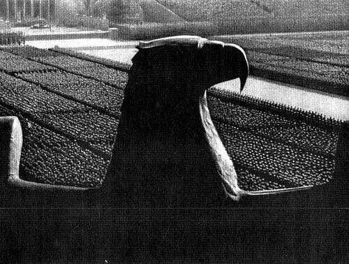 <a href="/TangoFoxtrotAF/">Døc Høliday</a> <a href="/200nseventy1k/">Harbingeroneonezero</a> <a href="/feistygoat_/">Habeas Corpuscle</a> <a href="/Sovereign_Natty/">Natty</a> <a href="/PatriotFrogg/">PatriotFrеn</a> <a href="/hitlercrusader/">Crusader. Eighty. Eight.</a> <a href="/88waysToGo/">271,000 MAX</a> <a href="/warbros111/">The ghost of Crud Bonemeal</a> <a href="/ArchitectOracle/">AleksanderNorway</a> <a href="/NoMinIls/">Redacted</a> <a href="/moores_jes37507/">JAESETIKUS</a> <a href="/whiteythebeast/">whitey</a> HH ⚡⚡