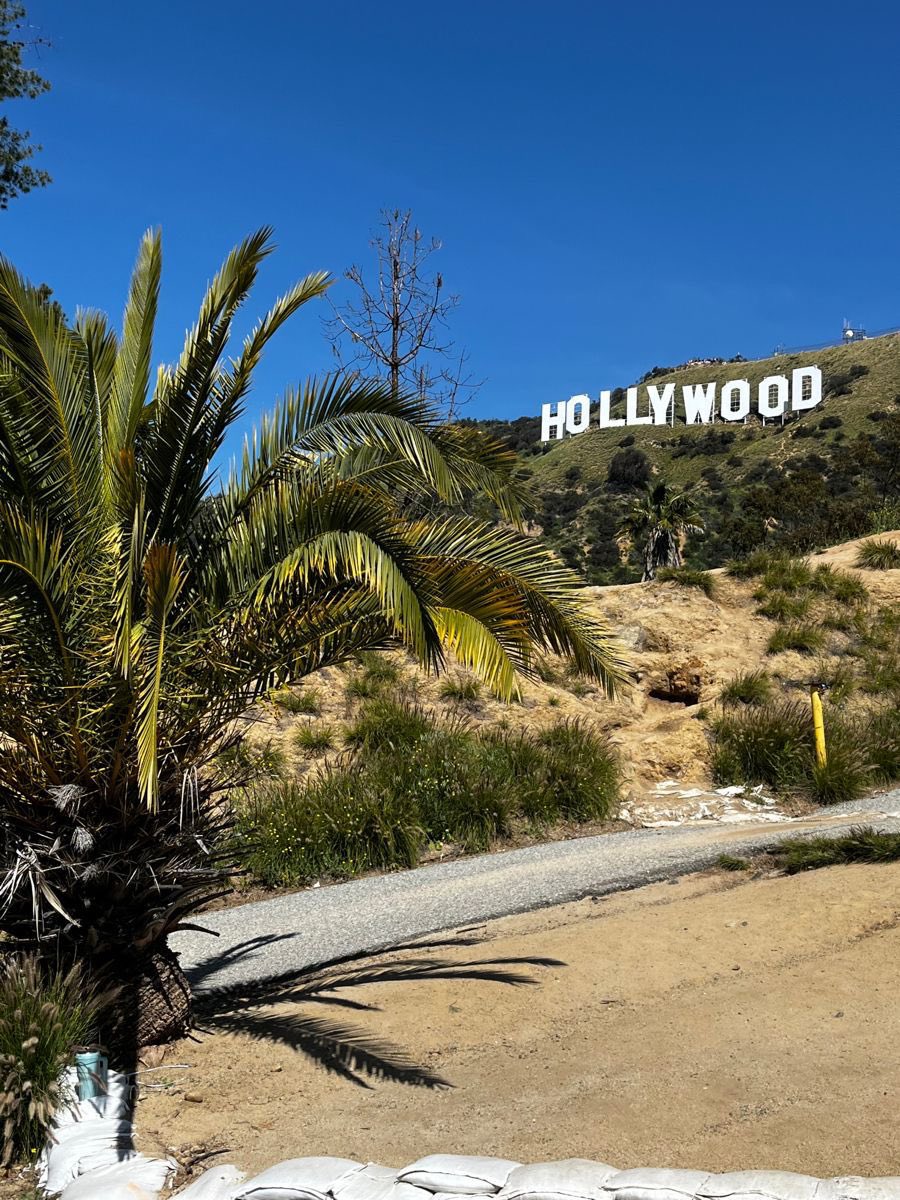 my_ers_ortega's tweet image. Starstruck 🌟– #Livbrina AU
 
A jovem Olívia Rodrigo viaja para Los Angeles com a intenção de visitar seus avós. Já sua irmã, porém, tem outro objetivo: realizar o sonho de conhecer Sabrina Carpenter, a cantora do momento e queridinha dos paparazzis- alguém que Olívia não suporta