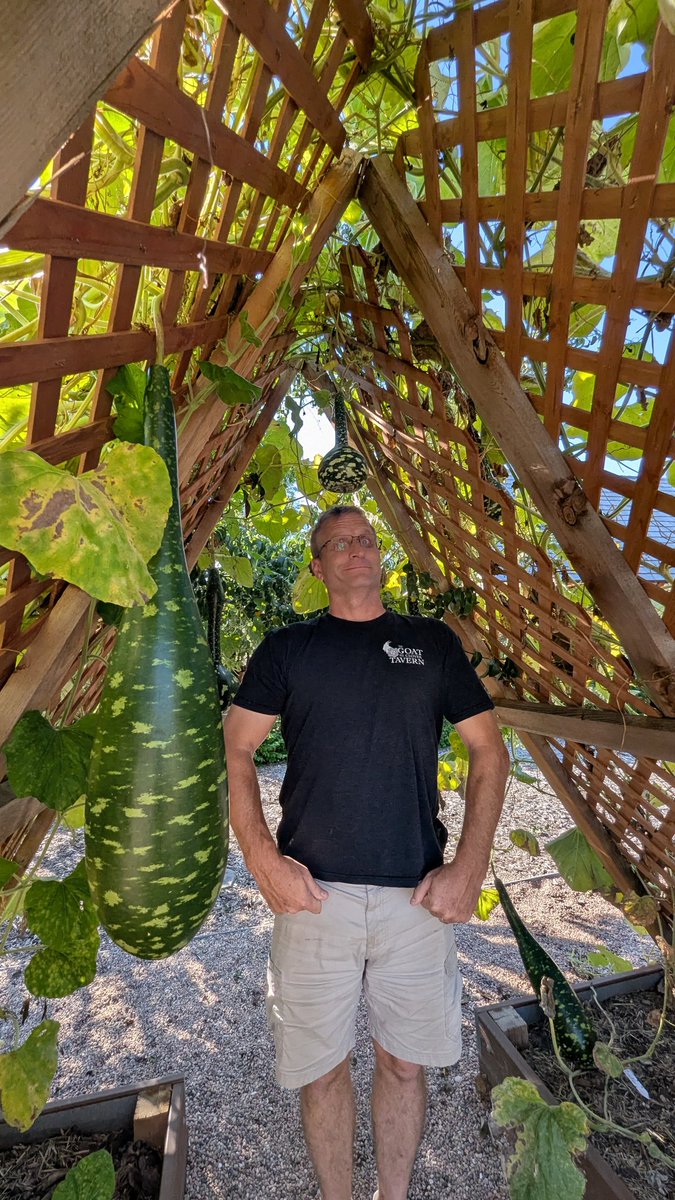 Gardens on Spring Creek

Perfect day for it. 

#FortCollins #Colorado