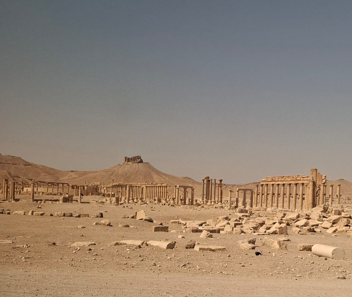PalmyraRev1's tweet photo. First trip to #Palmyra with @ALIPHFoundation
@Inp_patrimoine to explore the prospects for rehabilitating this exceptional site. Heartfelt thanks to Directorate General of Antiquities and Museums and to #Syrian authorities for the forthcoming cooperation between #France and #Syria https://t.co/NDGIXdEPOh